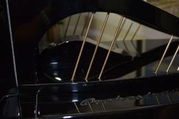 La struttura in legno che sorregge il tweeter AMT e le aste armoniche in ottone risuonante per il controllo delle risonanze, prevede anche un'appendice aerodinamica posizionata dietro al tweeter<br />che impedisce la formazione di onde stazionarie e riflessioni indesiderate.